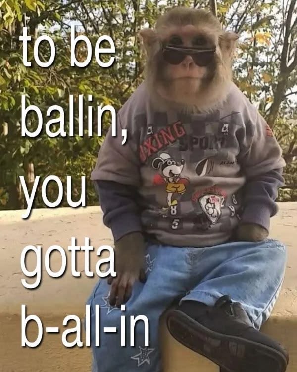 Meme of a monkey in sunglasses and a sweatshirt, with text reading: to be ballin, you gotta b-all-in